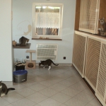 Hotel pro kočky BIBI