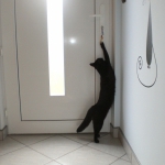 Hotel pro kočky BIBI
